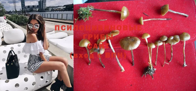 Псилоцибиновые грибы MAGIC MUSHROOMS  Алапаевск 